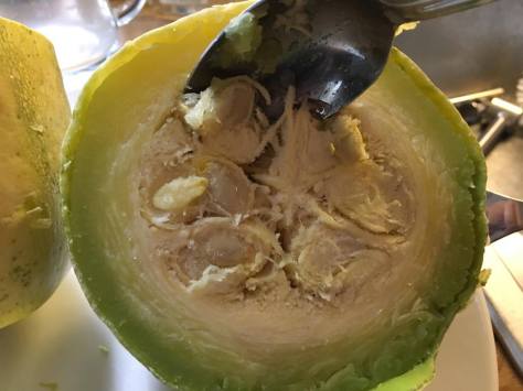 Spagettikurpitsan siemenet